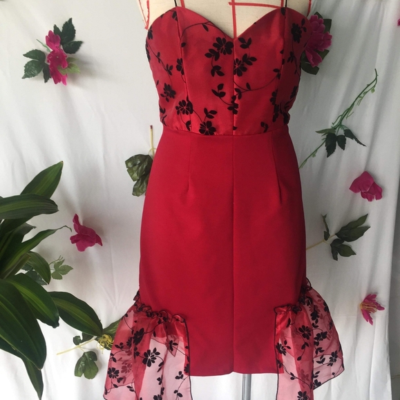 dresses - Picture 4 of 4